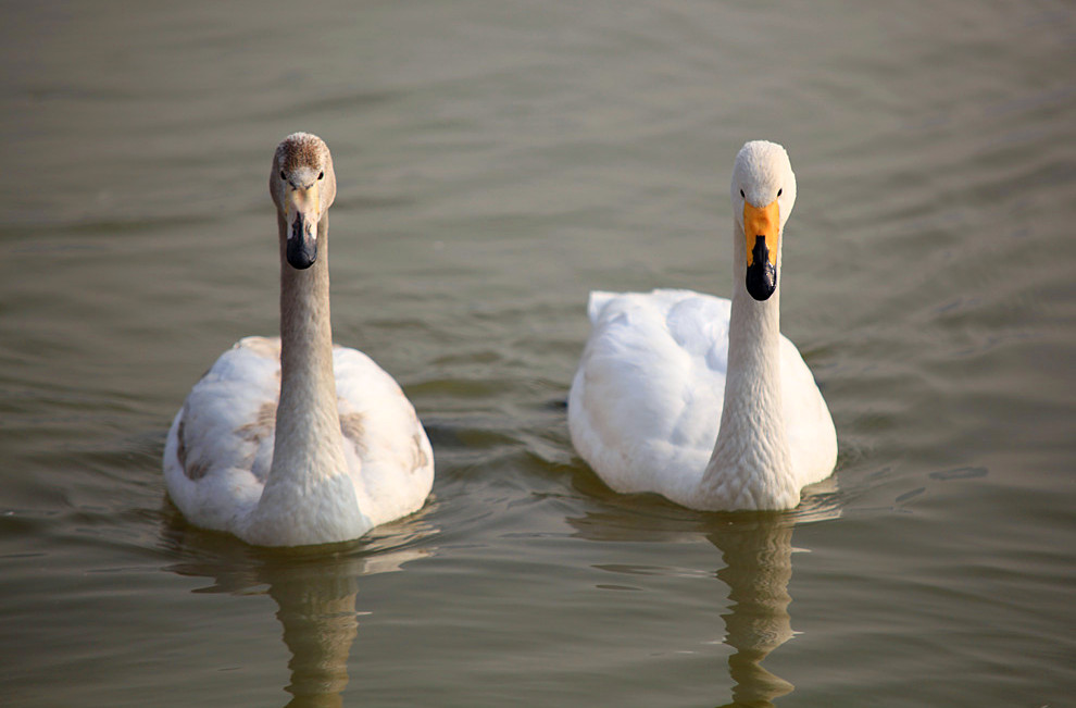 2013��� (57)_����.jpg