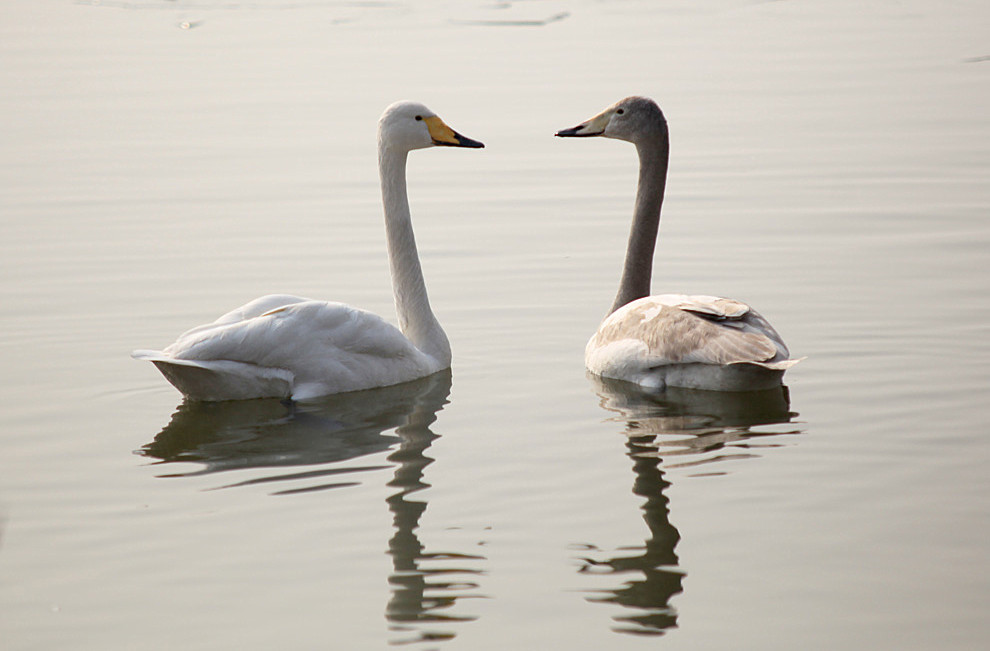 2013��� (45)_����.jpg