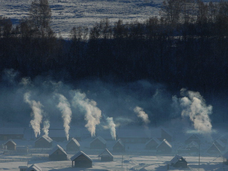 ��ľ����