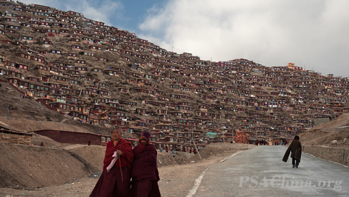 �������β���������Χ��Ʒ���ش���̷�ѧԺ��