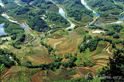 ��ԾͶӰ��Ƭ����������Χ��Ʒ��������԰��