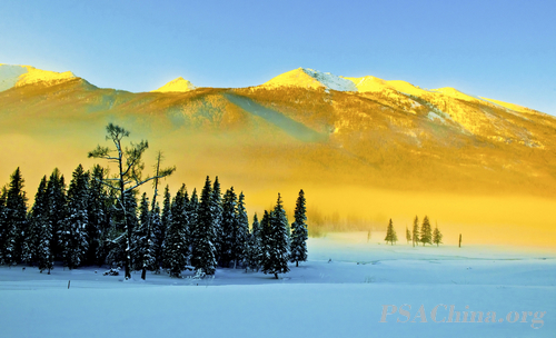 ��־��ͶӰ��Ƭ����������Χ��Ʒ������˹֮����