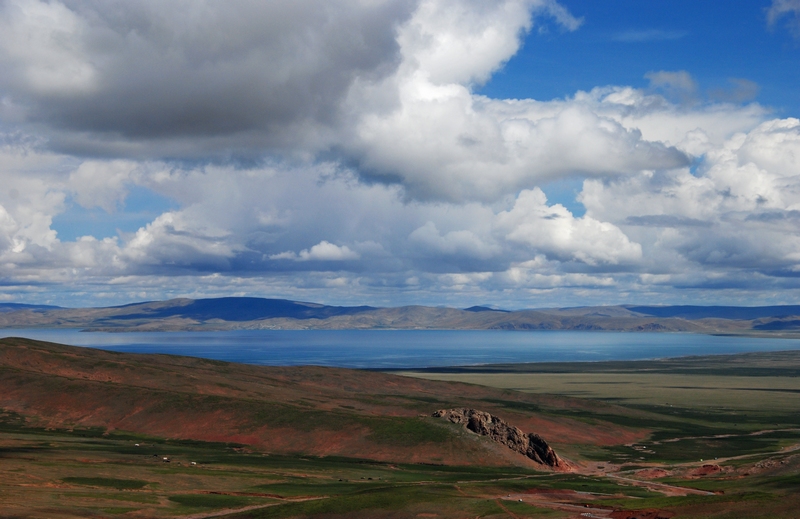 ��ľ����