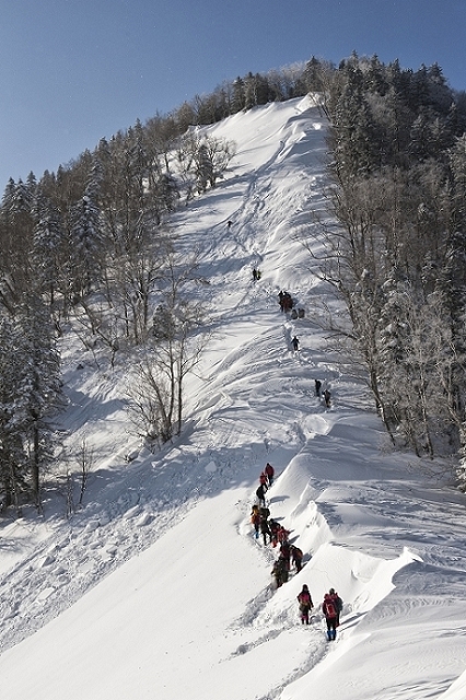 1  ��ʵ�Ѿ���һ��СС����