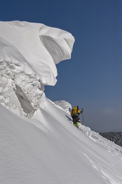 2  ��æ��ɽ���ֺ��գ�����