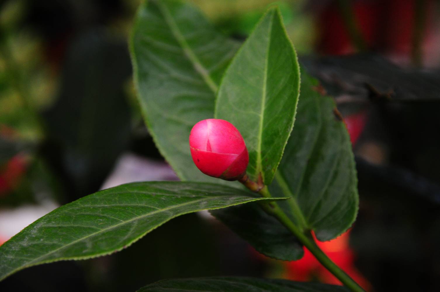 ��֮����