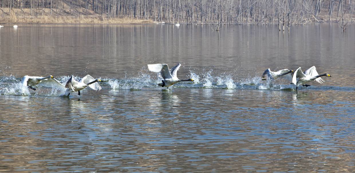 ���龢���ʢ��