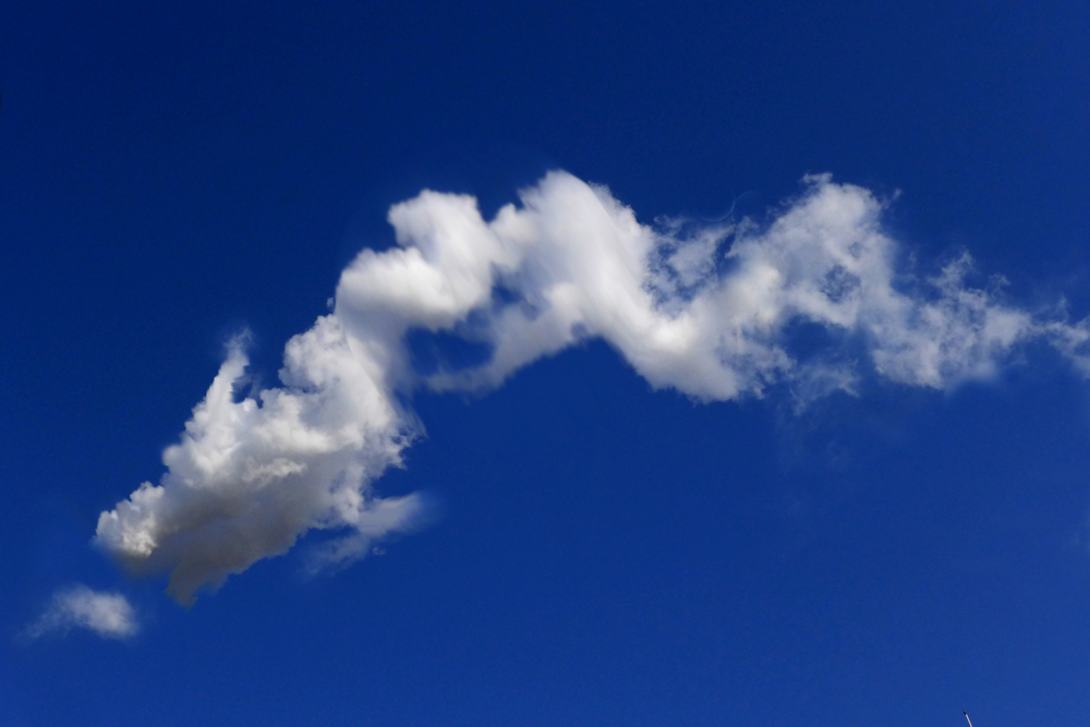 ��������������ʳ�� ��������.jpg