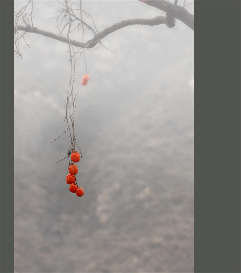 ����¨�߸߹ҡ�