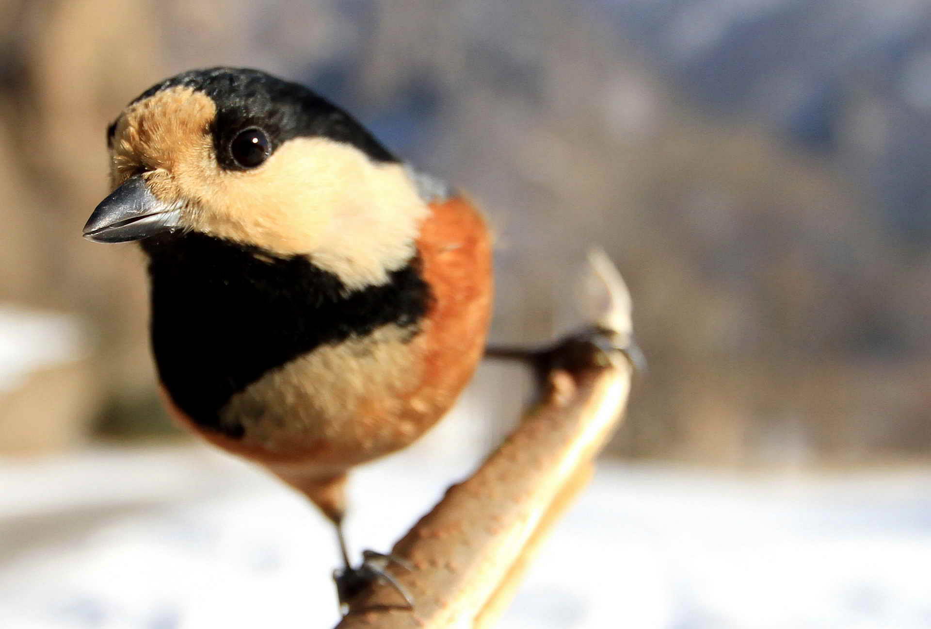 nEO_IMG_IMG_8234�������� (2).jpg