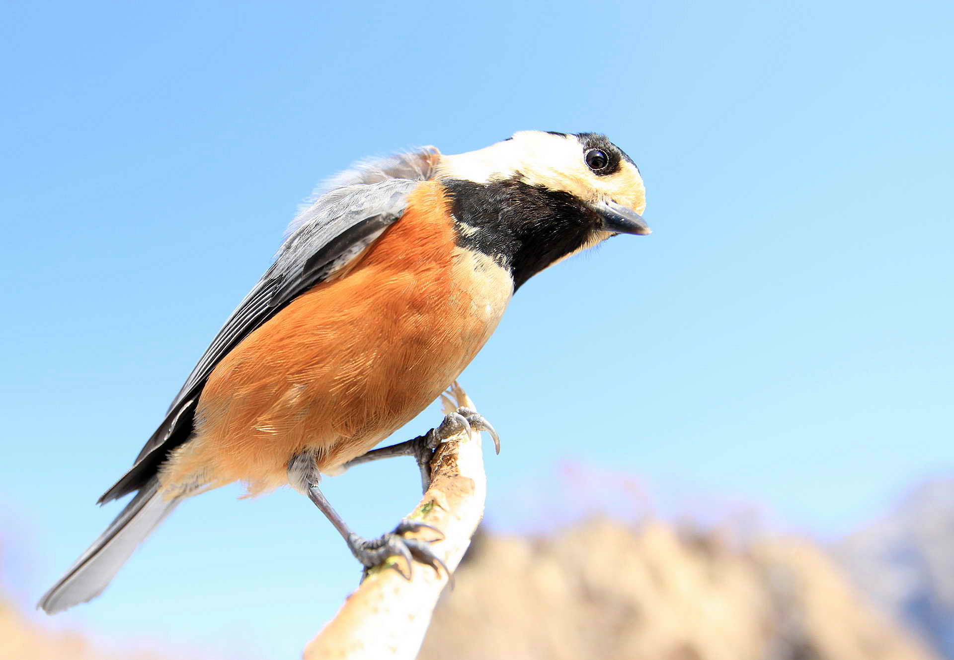 nEO_IMG_IMG_8370 (2).jpg