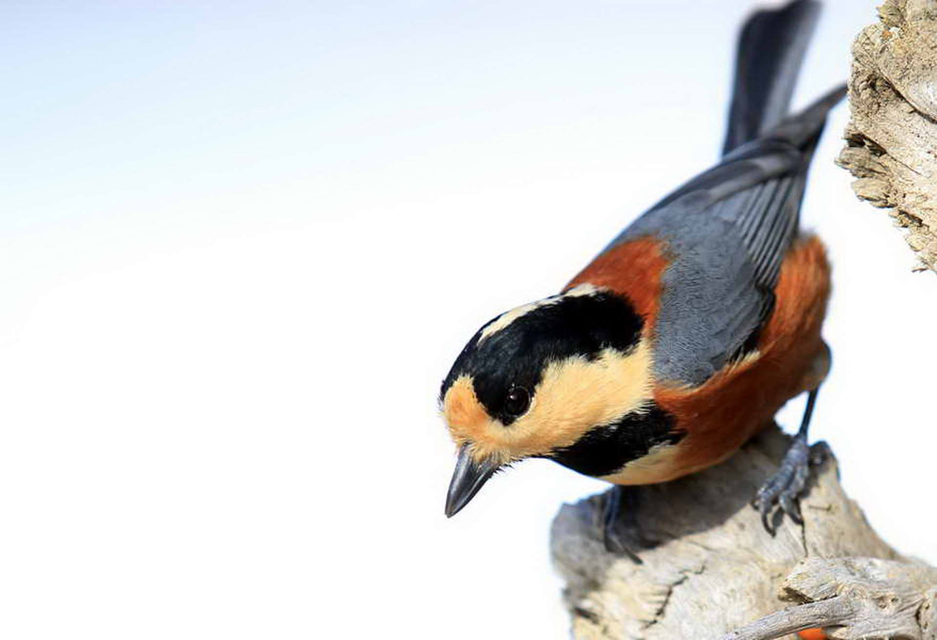 IMG_8820_������С (2).jpg