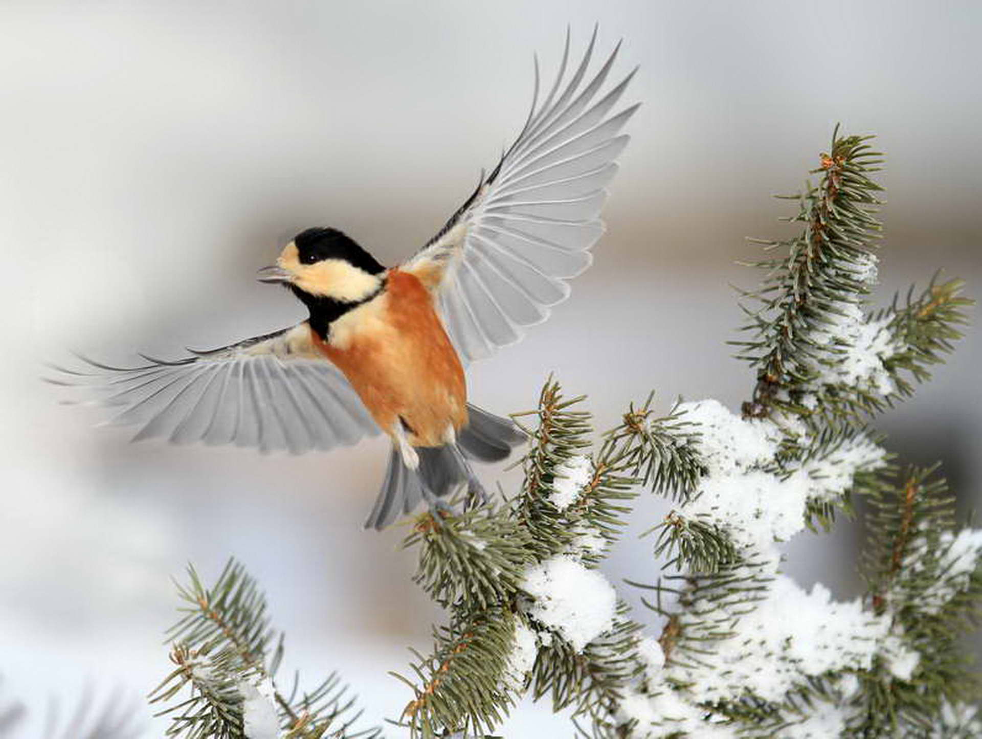 IMG_9361_������С (2).jpg