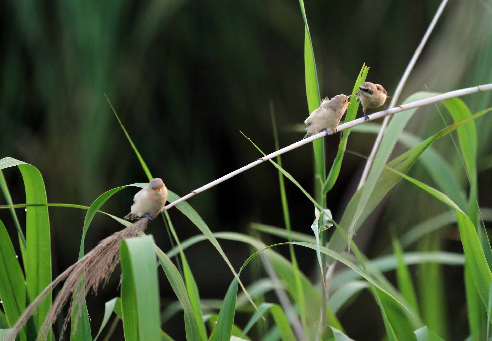 IMG_6291���� (2).jpg