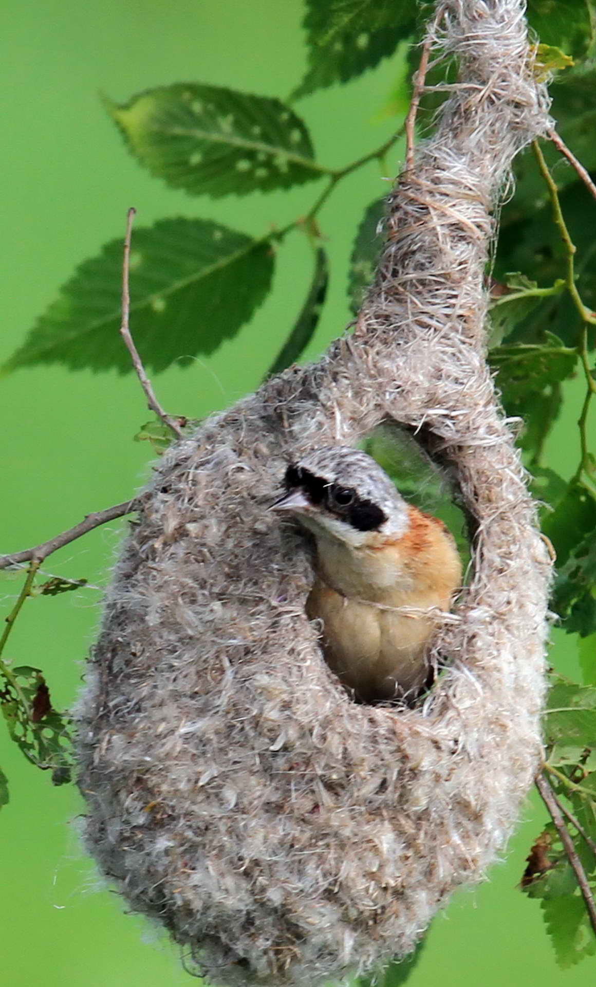 IMG_59855���� (2) (2).jpg