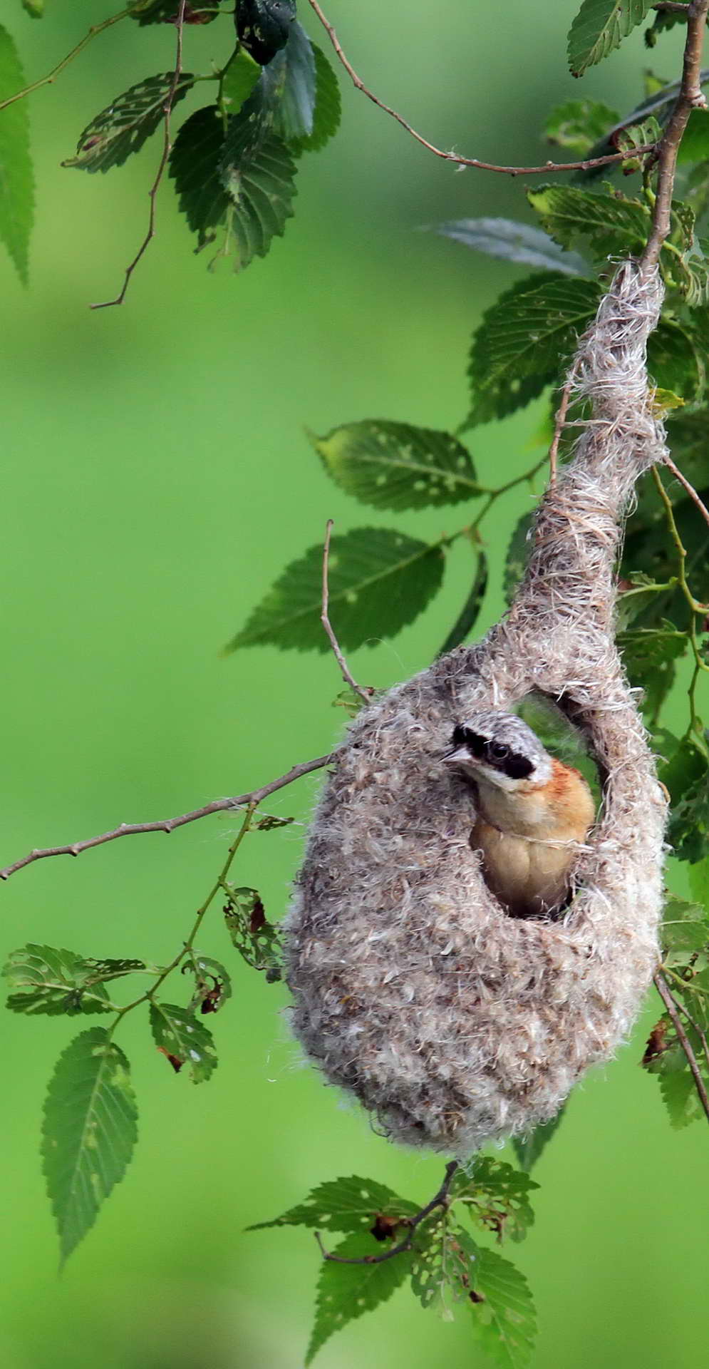 IMG_5985���� (2) (2).jpg