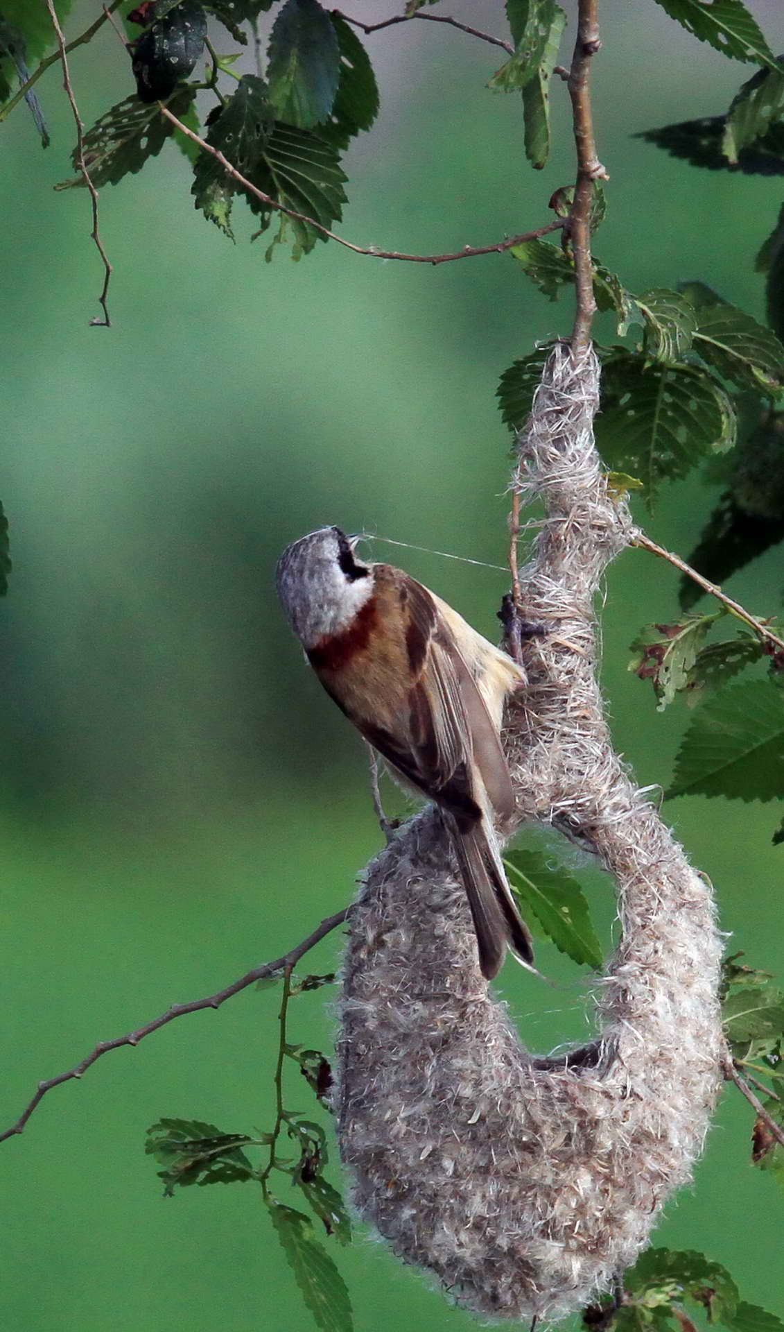 IMG_6071���� (2) (2).jpg