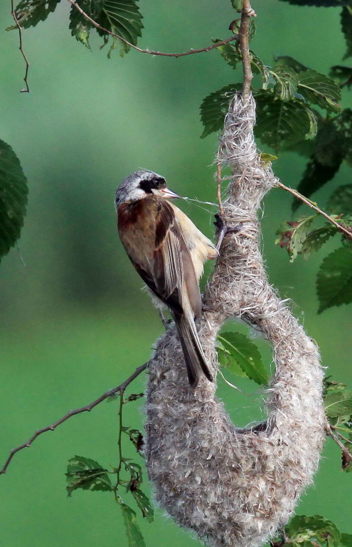 IMG_6074���� (2) (2).jpg