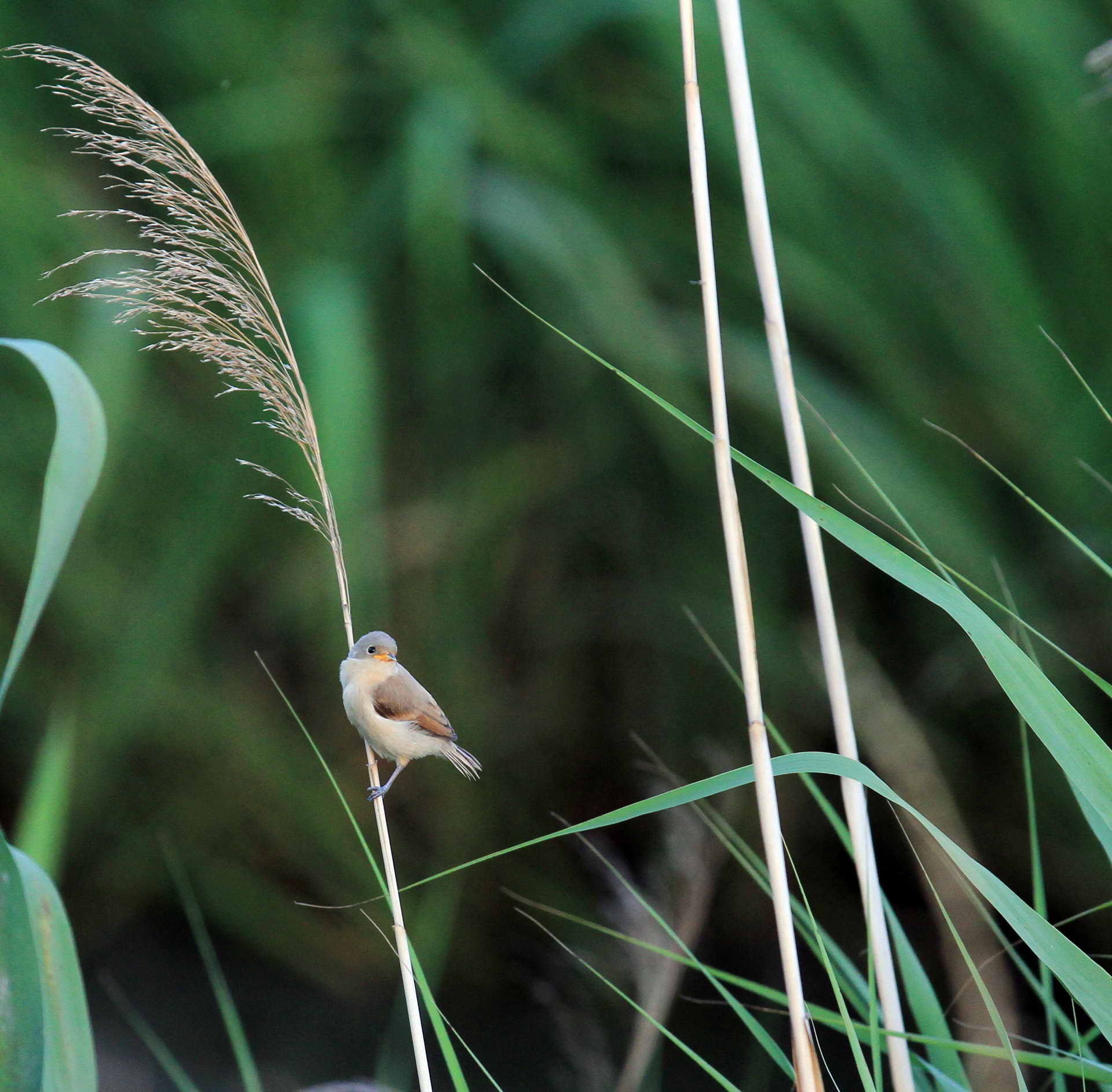 IMG_6164���� (2).jpg