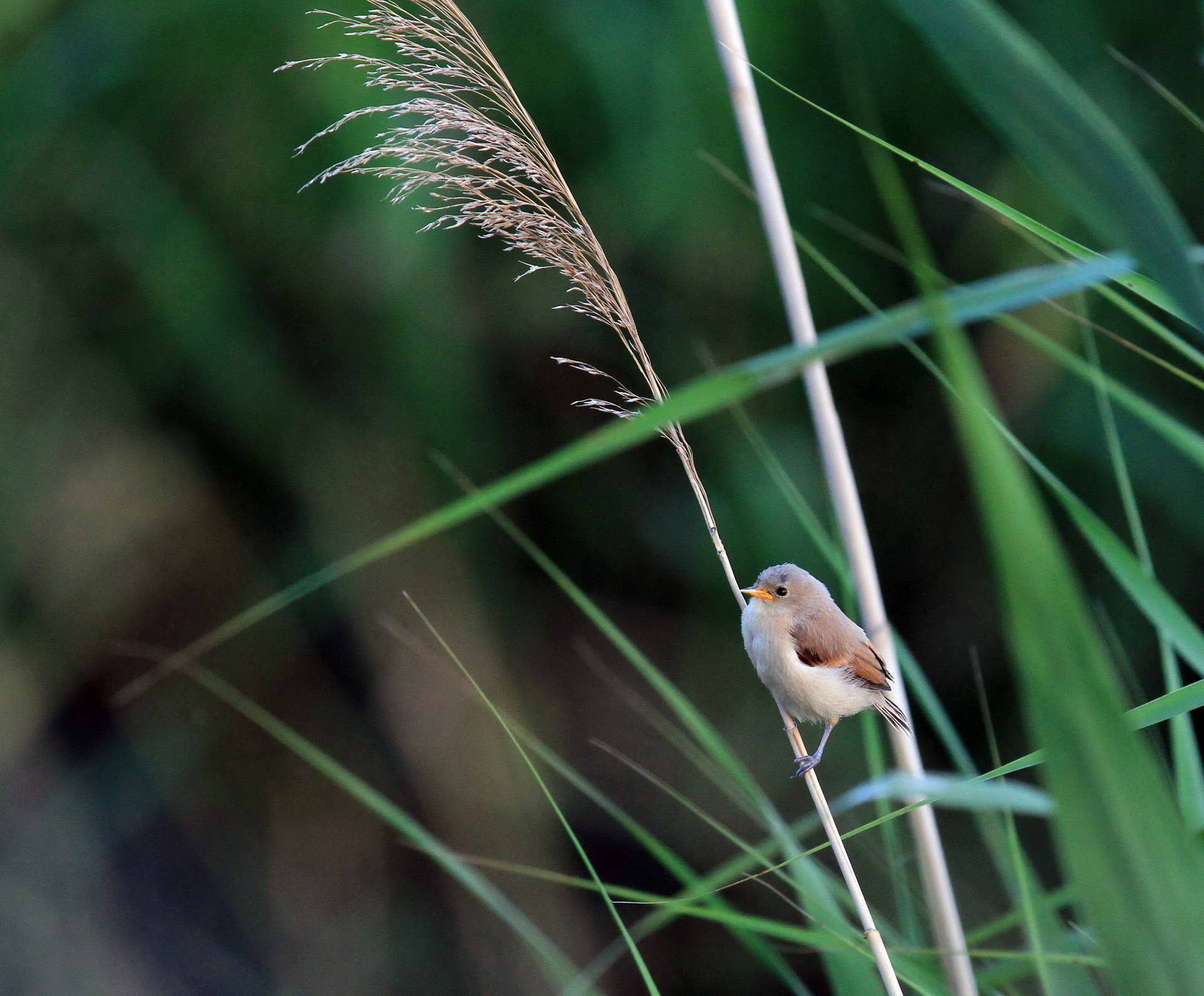 IMG_6168���� (2).jpg