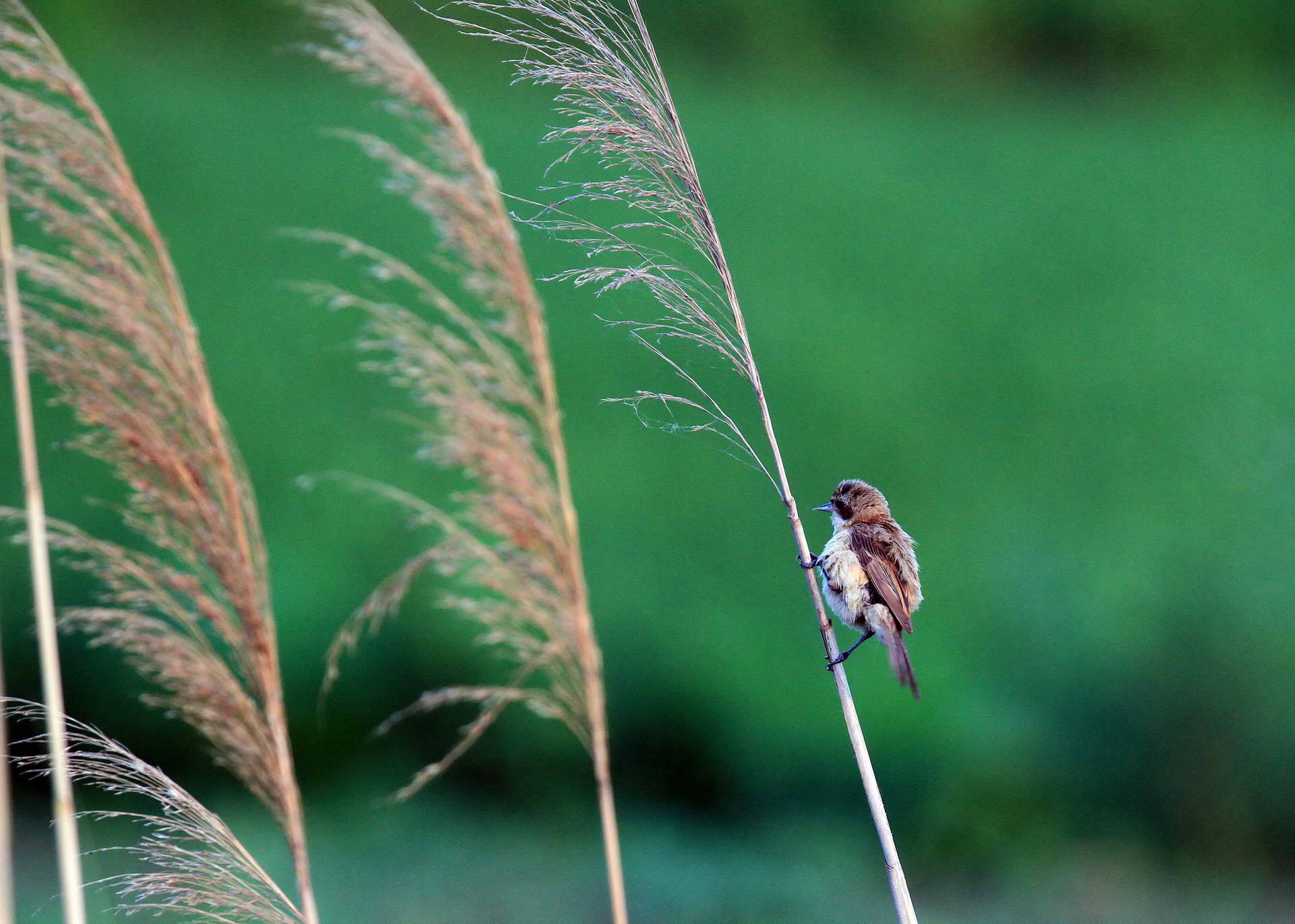 IMG_6178���� (2).jpg