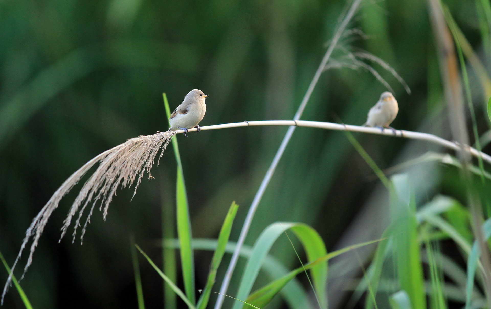 IMG_6231���� (2).jpg