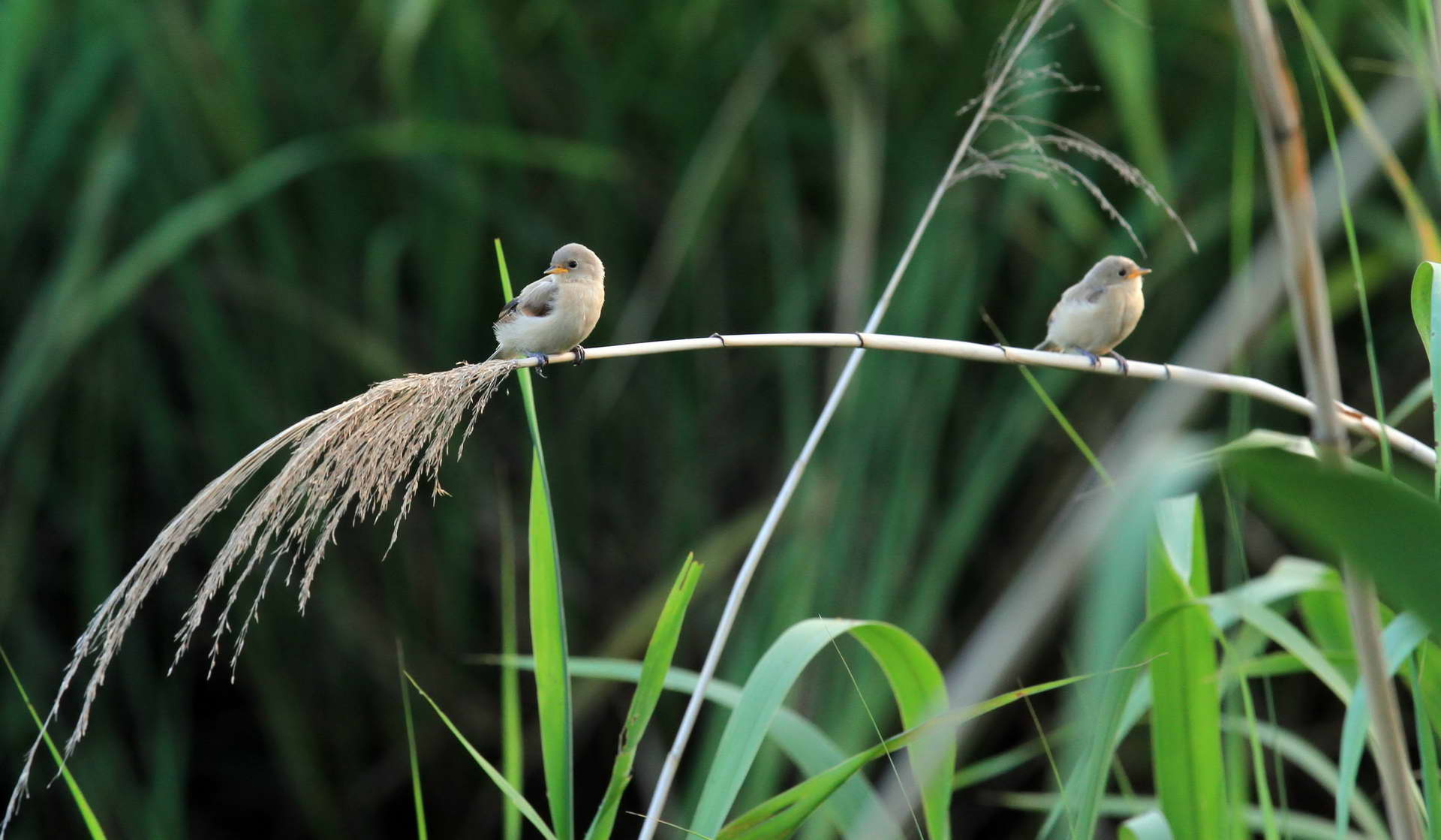 IMG_6236���� (2).jpg