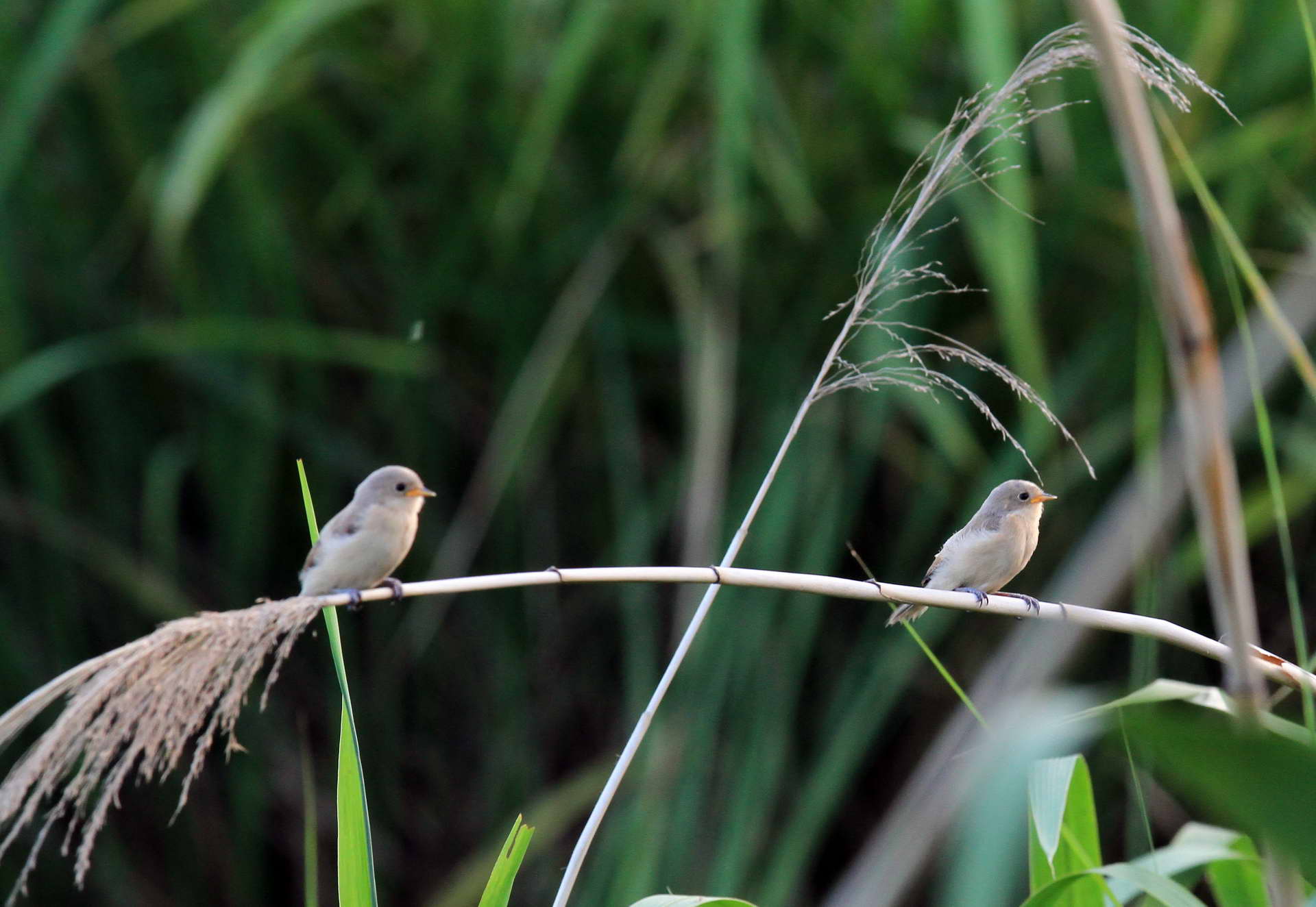 IMG_6239���� (2).jpg