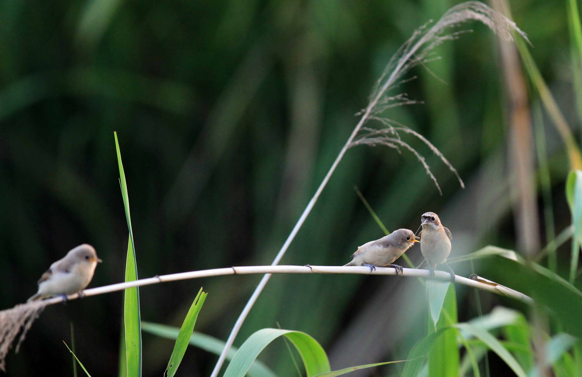 IMG_6245���� (2).jpg