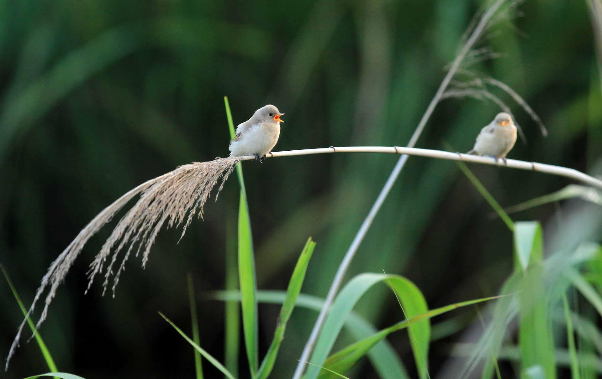 IMG_6254���� (2).jpg