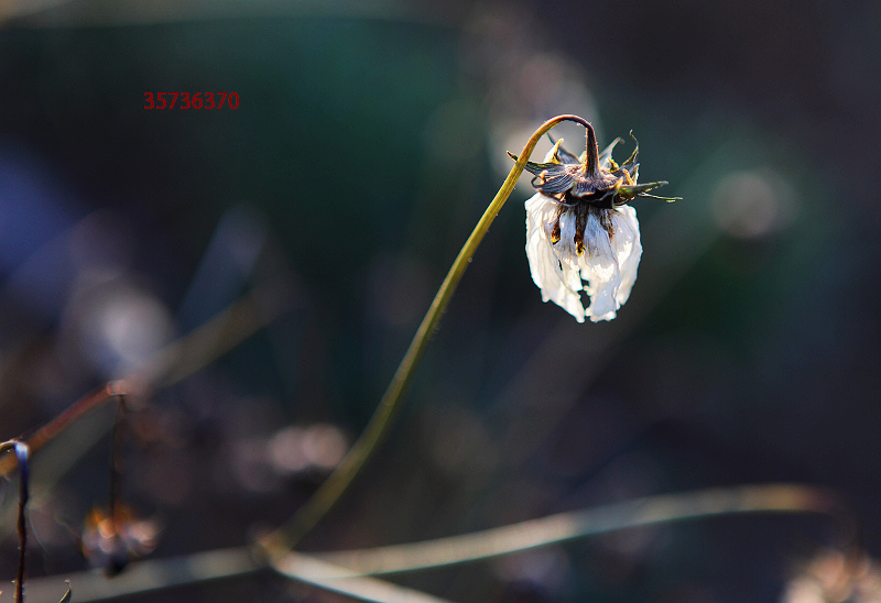 �������� һ