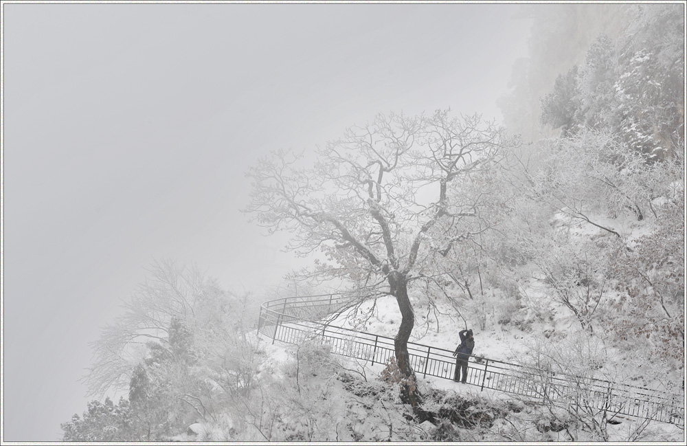 ��Ӱ����