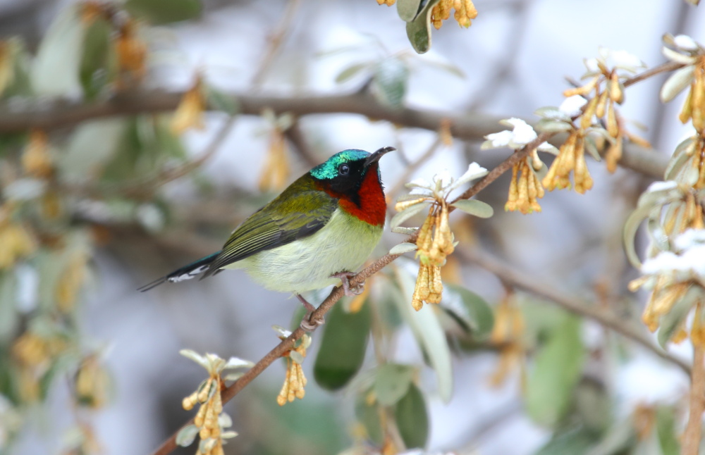 AM1Q0133  ��̫����.JPG