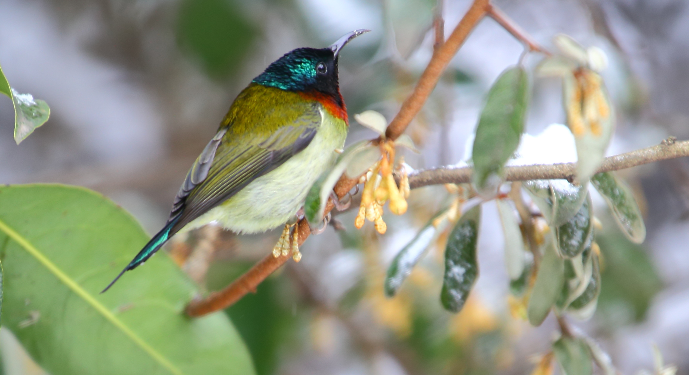 AM1Q0183 ��̫����2.JPG