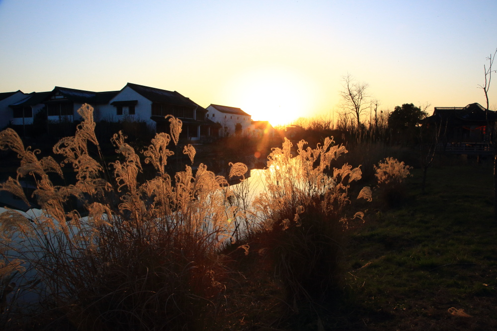 AM1Q0093 ����Ϫ��԰��.JPG