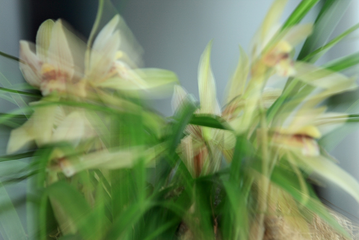 02 �������� IMG_7208����.jpg