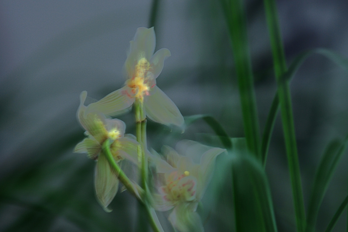 04 �������� IMG_7200����.jpg