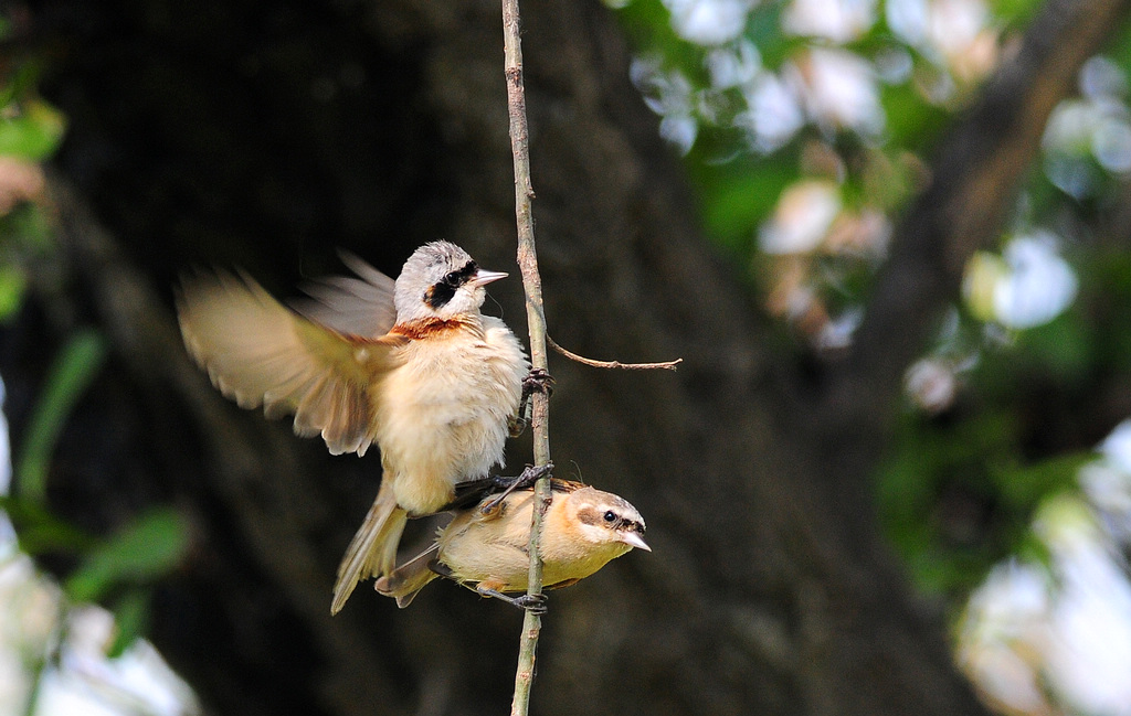 5DSC_0035   1000.jpg