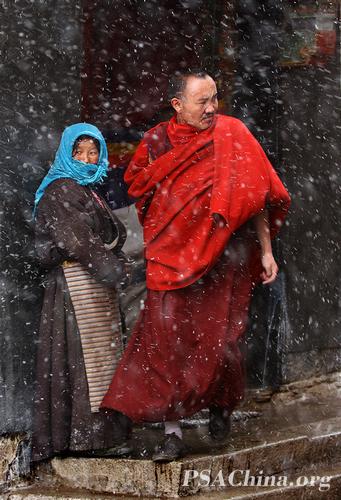 ��ֲ�ļ�ʵ��Ӱ��(������) 練�����Ʒ����ѩ������.jpg