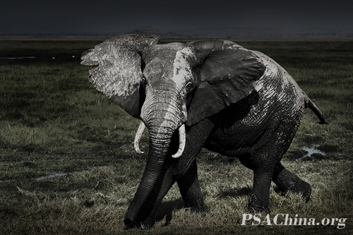 ���˲���Ȼ��(��ɫ������) ��Χ��Ʒ�����ֵ�С��.jpg