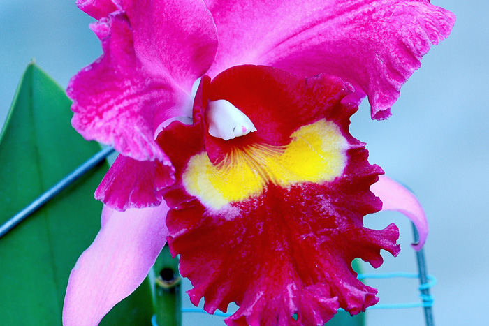 7  ���� 01 IMG_7309����1.jpg