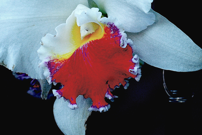 7  ���� 02 IMG_7310����1.jpg