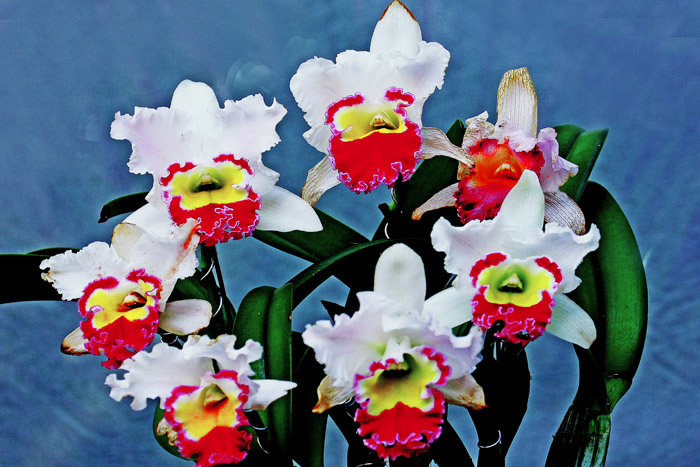 7  ���� 03 IMG_7393����.jpg