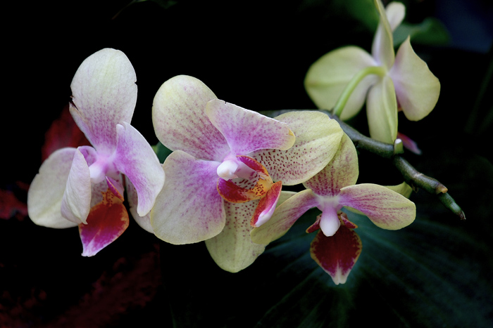 7  ���� 04 IMG_7402����.jpg