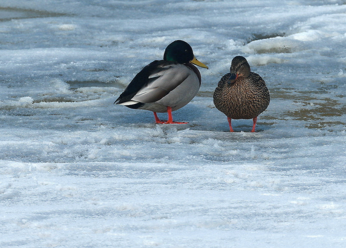 �޸�����