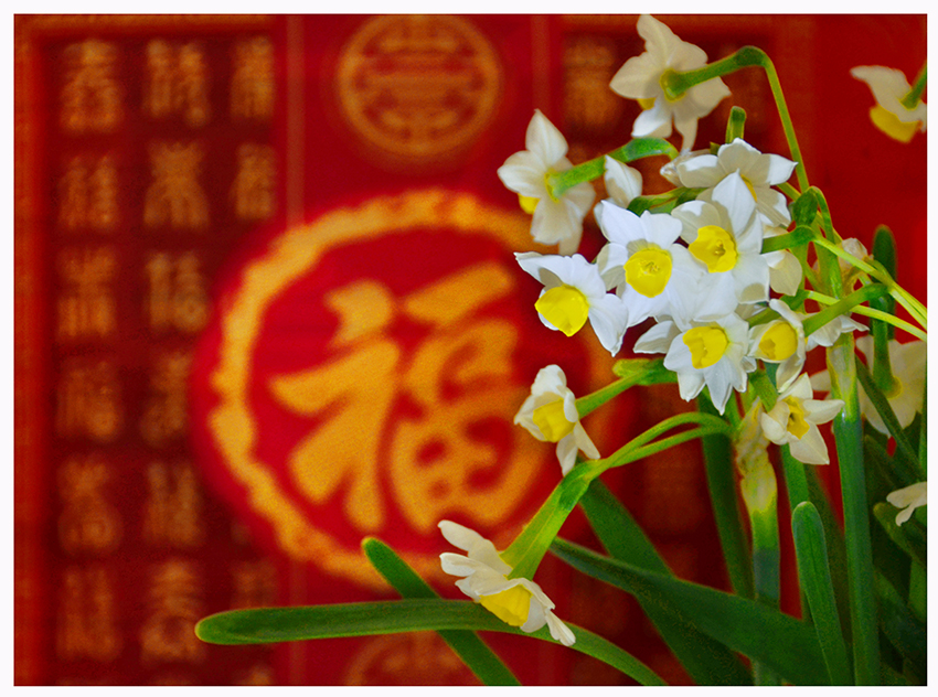 SZJ_2986 ����==.jpg