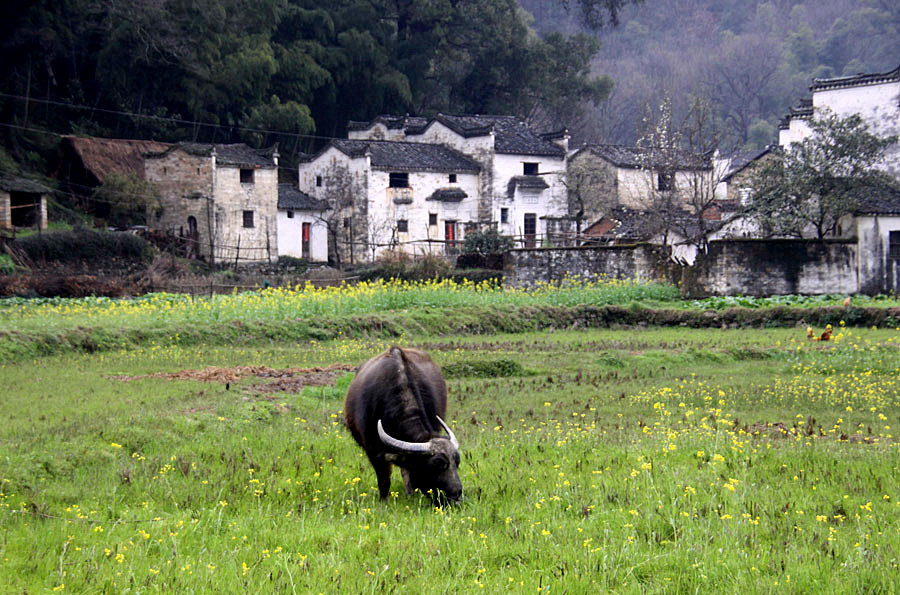 ���½�����Ƭ 036_����.jpg