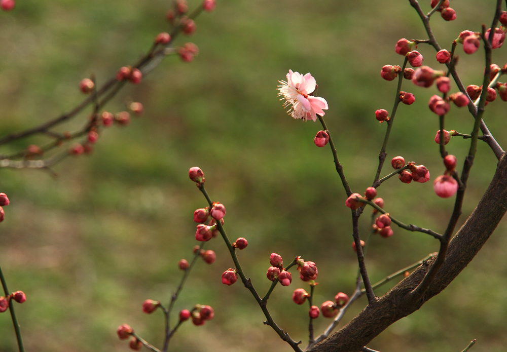 δ���� (8 - 80)_����.jpg