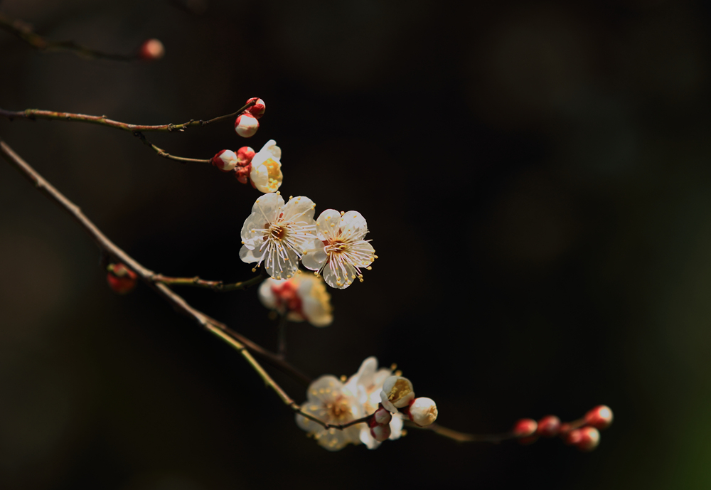 δ���� (33 - 80)_����.jpg