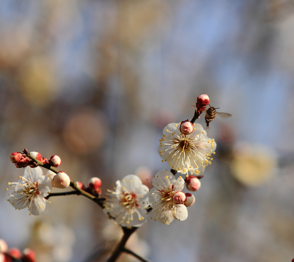 δ���� (35 - 80)_����.jpg